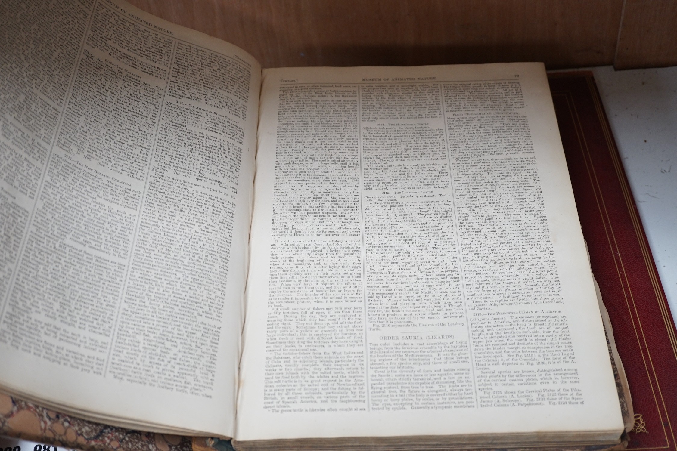 Two volumes of Museum of Animated Nature and a volume of London and Westminster Illustrated